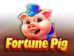 5jil